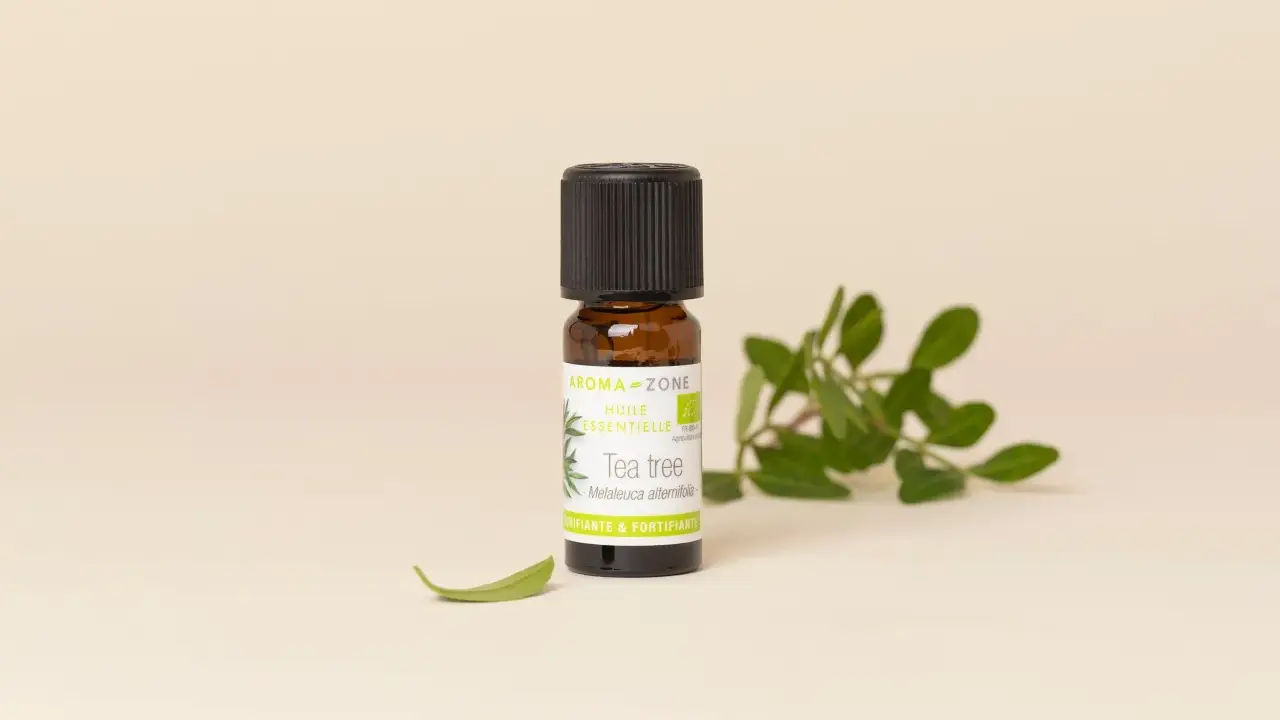 Flacon d'huile essentielle de Tea Tree. Bien que purifiante, l'huile essentielle tea tree danger peut survenir si mal utilisée.