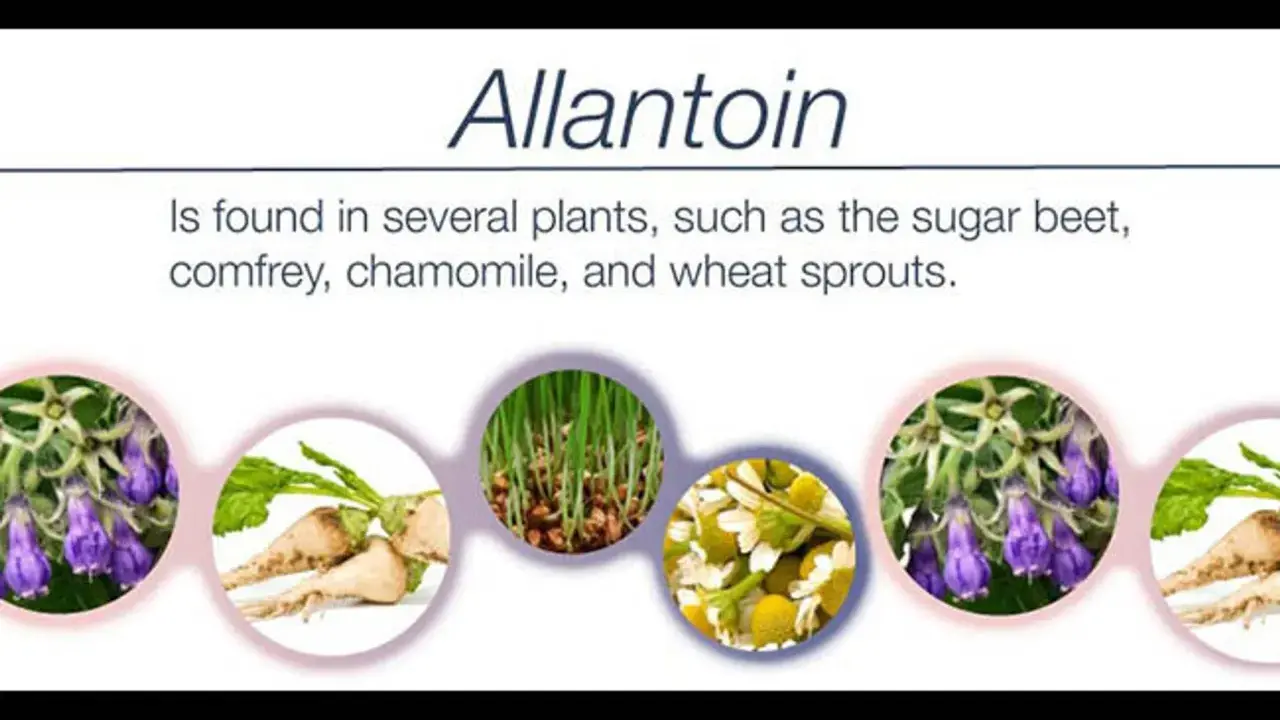 Allantoïne : c'est quoi ? Trouvée dans la consoude, la camomille, les pousses de blé et la betterave.