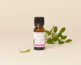 Flacon d'acide salicylique végétal Aroma-Zone, un actif cosmétique purifiant et clarifiant pour la peau, entouré de feuilles vertes.