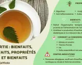 Tisane d'ortie : bienfaits, propriétés et contre-indications. Attention, tisane ortie danger pour personnes allergiques, cardiaques, rénales et femmes enceintes.