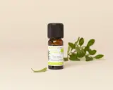 Flacon d'huile essentielle de Tea Tree. Bien que purifiante, l'huile essentielle tea tree danger peut survenir si mal utilisée.