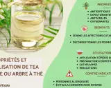 Huile d'arbre à thé : ses bienfaits antiseptiques, antiviraux et décongestionnants pour la peau et les poumons. Utilisation topique, cosmétique, cataplasmes, inhalations.