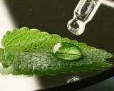 Goutte d'eau sur une feuille de menthe poivrée bouton, avec un compte-gouttes en verre au-dessus.