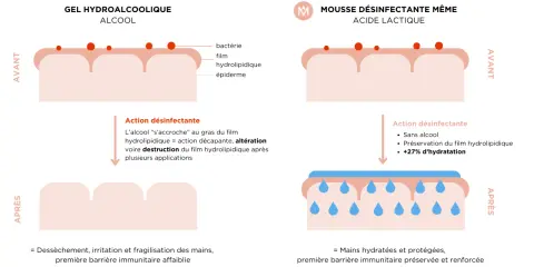 Gel hydroalcoolique : danger d'altération du film hydrolipidique. Mousse désinfectante à acide lactique : préserve et hydrate la peau.