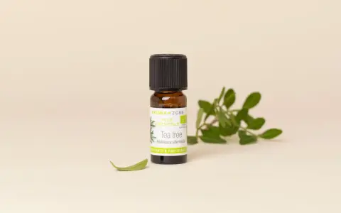 Flacon d'huile essentielle de Tea Tree. Bien que purifiante, l'huile essentielle tea tree danger peut survenir si mal utilisée.
