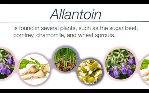 Allantoïne : c'est quoi ? Trouvée dans la consoude, la camomille, les pousses de blé et la betterave.