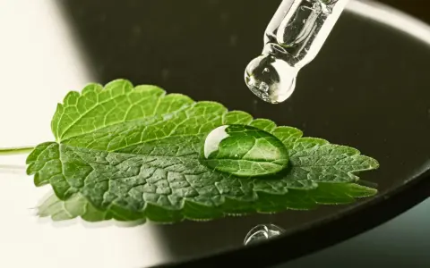 Goutte d'eau sur une feuille de menthe poivrée bouton, avec un compte-gouttes en verre au-dessus.