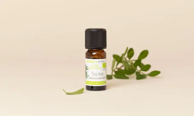 Flacon d'huile essentielle de Tea Tree. Bien que purifiante, l'huile essentielle tea tree danger peut survenir si mal utilisée.