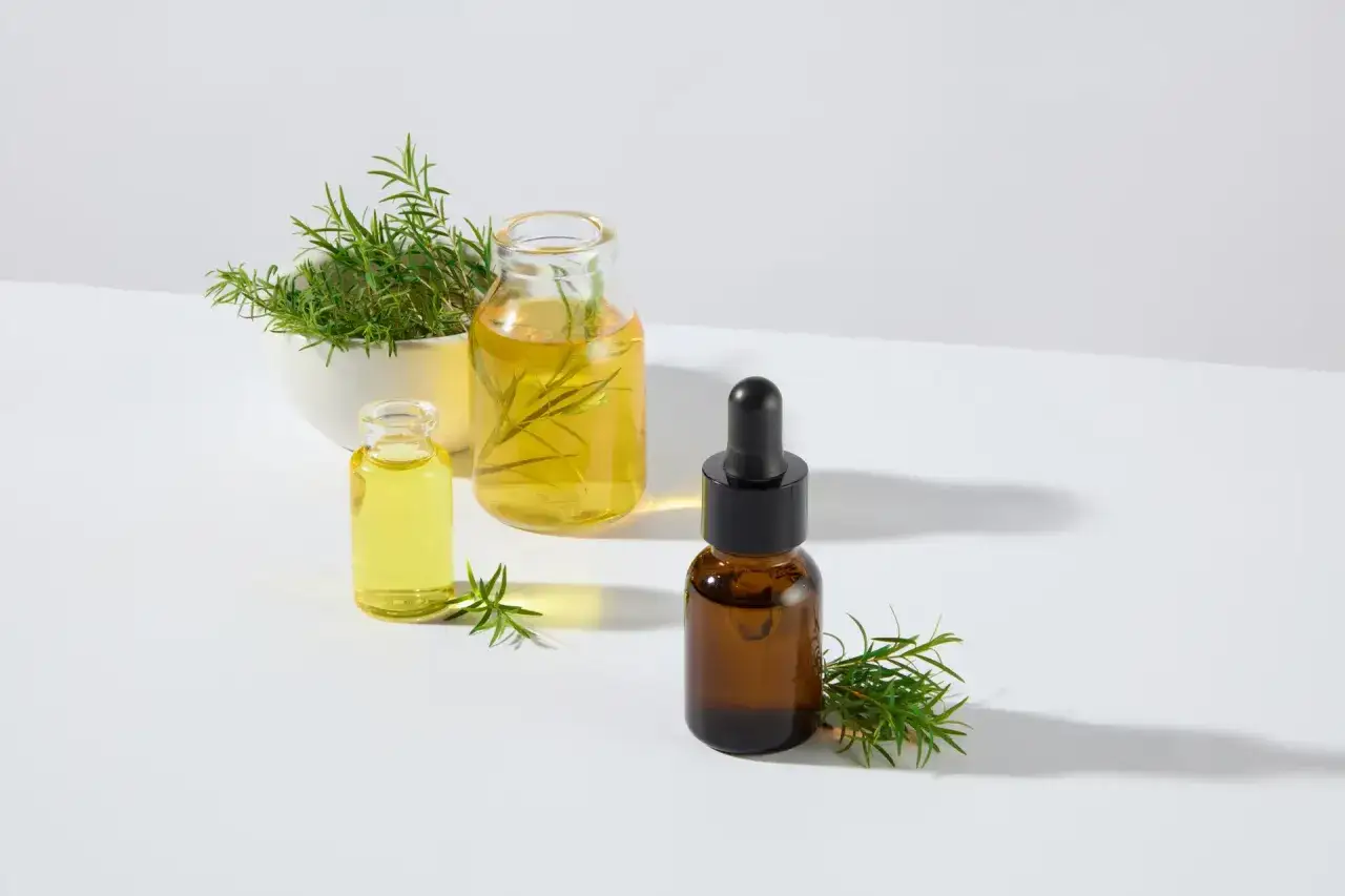 Huiles essentielles de tea tree dans des flacons, avec des branches de l'arbuste. D&eacute;couvrez les tea tree bienfaits pour la peau et le bien-&ecirc;tre.
