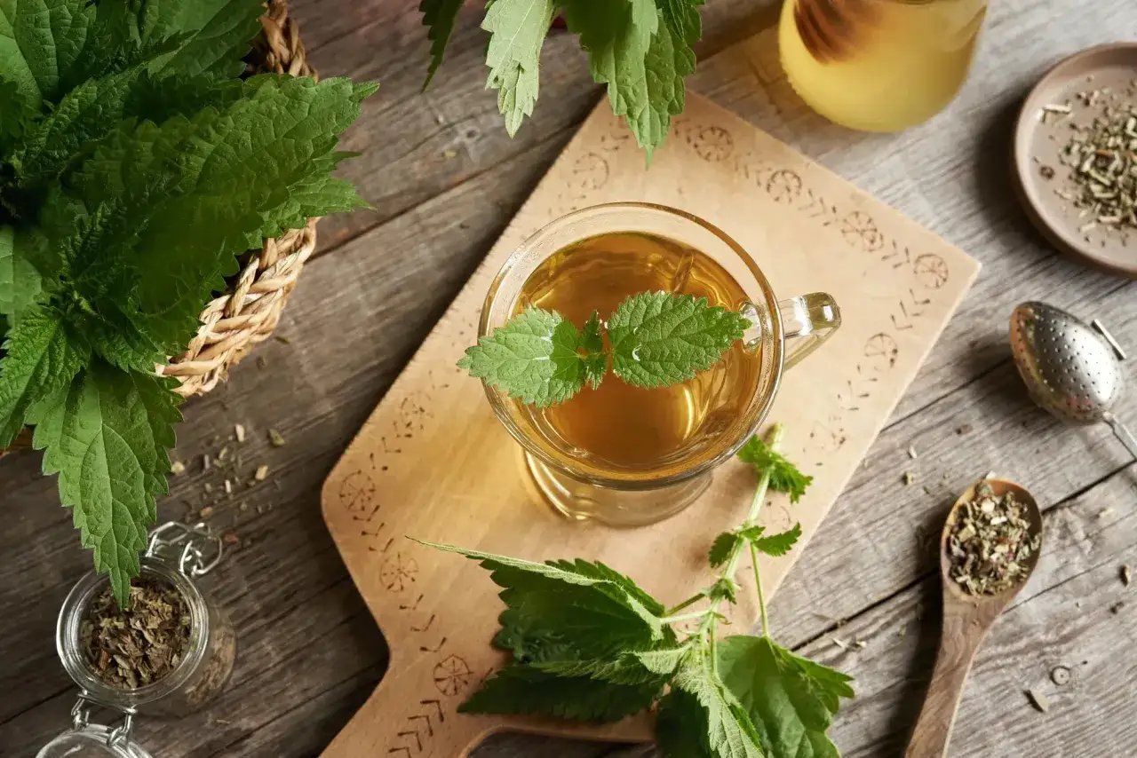 Une tasse de tisane d'ortie, fra&icirc;chement pr&eacute;par&eacute;e. Attention, la tisane ortie danger peut survenir si mal pr&eacute;par&eacute;e ou consomm&eacute;e en exc&egrave;s.